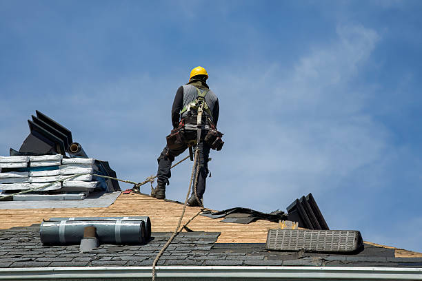 Professional Gutter Installation technician working in Encampment, WY